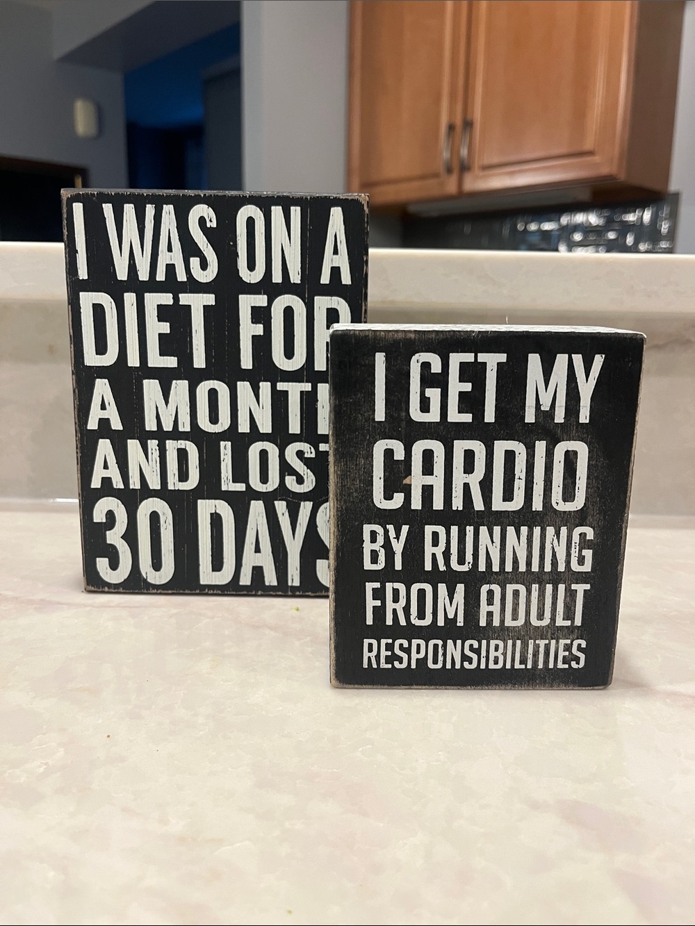 Humorous Decorative Wood Signs